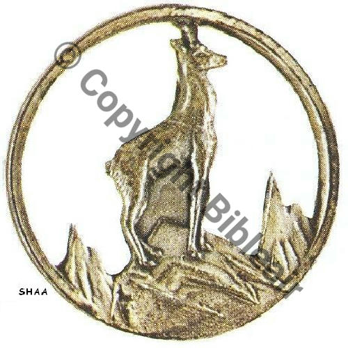 1940 II.14 4eDRILLE GR.2.14 1940.42 Src.SHAA 